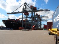 Taiwan trekt minder aan Nederlands varkensvlees