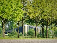 Gestopte varkensbedrijven bieden depositieruimte voor woningbouw en PAS-melders