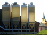 Geurregels veehouderij worden herzien, consultatie gepland in 2027