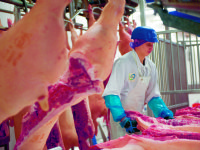 Uit- en inleenverbod voor vleessector in de maak