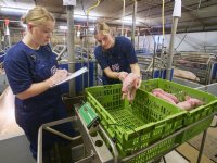 Talent krijgt kansen bij diervoederproducent Fransen Gerrits