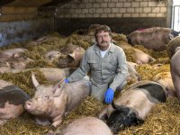 Arie van Nes: 'Ik hoop dat studenten inzien dat een varken een interessant dier is'