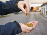 Voeropname en vertering gaan beter met diermeel