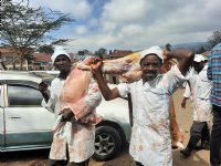 Voer en advisering maken Keniaanse varkenshouderij kansrijk