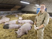 Marina Meester: 'Openheid nodig bij aanpak PRRS'