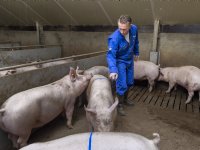 Handelaar Bart Troost ervaart voordelen van coöperatieve voerfusie
