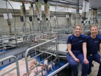 Standaard format om bijterij te voorkomen is er (nog) niet