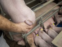 Op naar een gezonde, concurrerende en maatschappelijk gewaardeerde sector