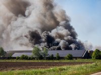 Nieuwe consultatieronde voor Brandveiligheidswijzer Veehouderij start