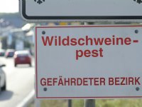 Nieuwe AVP-besmettingen zorgen voor uitbreiding risicogebied in Sauerland