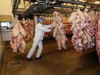 VleesNL overweegt juridische stappen tegen uitzendverbod in vleessector