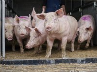 Vertrouwen in elkaar leidt tot langdurige relaties