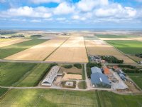 Krullvarkens op een eiland: hoe Texels bedrijf kosten en kansen combineert