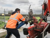 Varkenshouderij verlaagt fosfaatexcretie, maar blijft boven sectorplafond