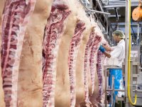 Varkensvleesconsumptie daalt naar 28,3 kilo na correctie slachtcijfers