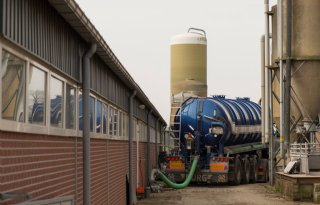 Afrekenbare+Stoffenbalans+vervangt+varkensrechten