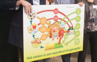 Prijzen+voor+kleurrijkste+varkenscreaties