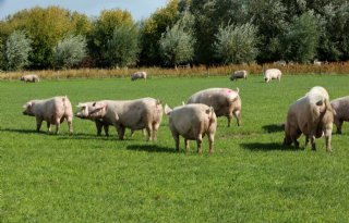 Biggen+Het+Cond%C3%A9+naar+Duitsland