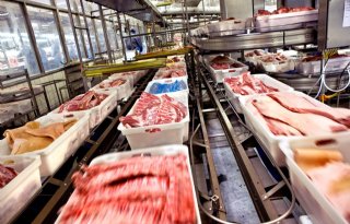 Overschot+Britse+varkens+door+tekort+arbeidskrachten