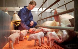 Kennissessies+mei+belichten+inzichten+in+dierenwelzijn
