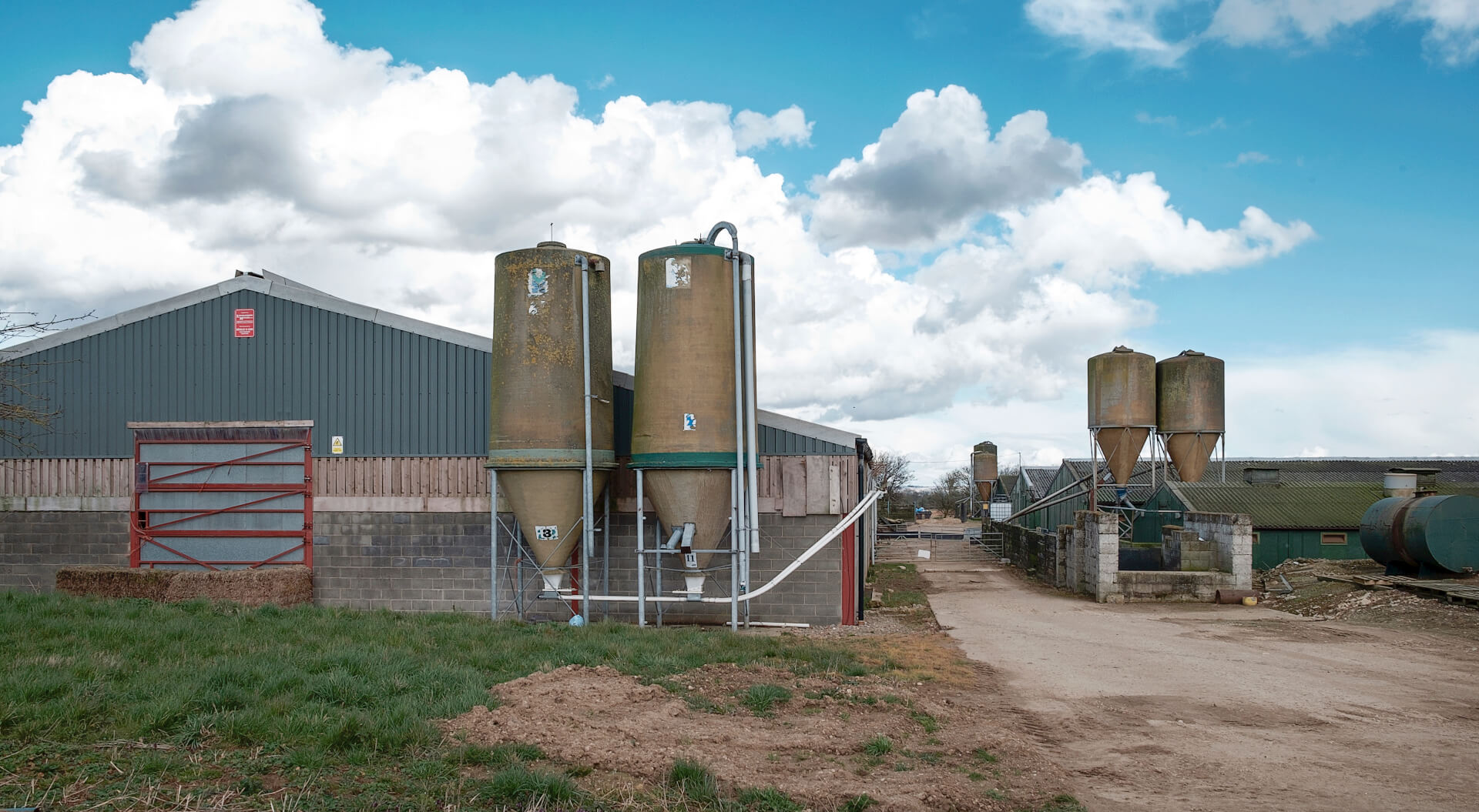 Aan de linkerkant de schuur voor de dragende zeugen, aan de rechterzijde van stallen voor de kraamzeugen en gespeende biggen.
