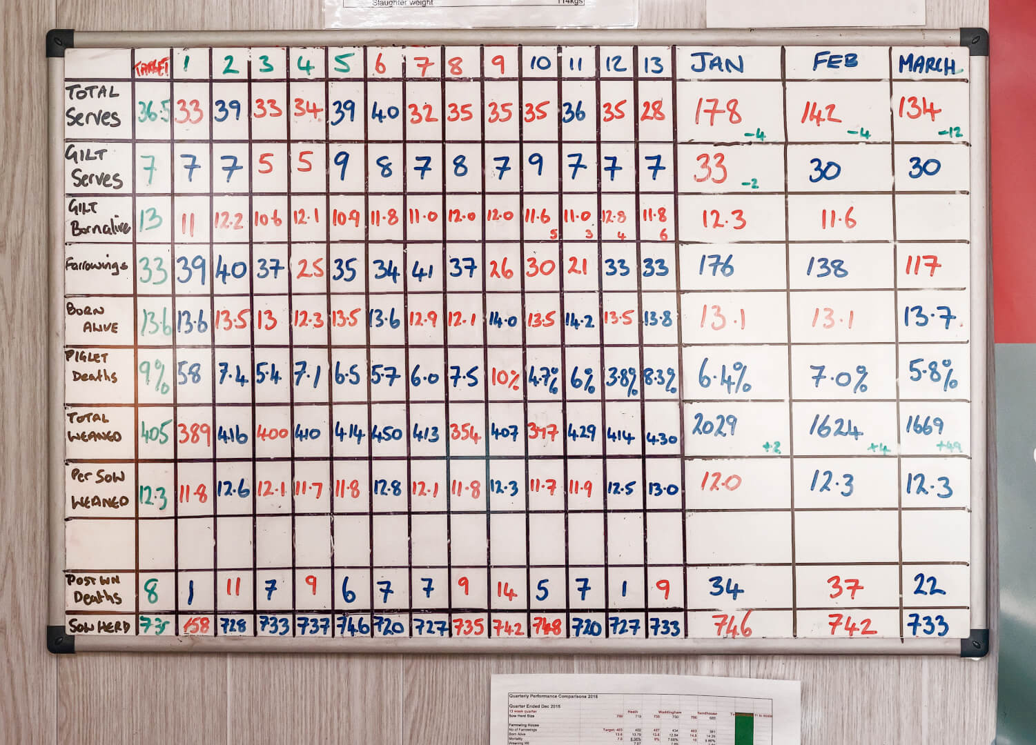 Op het whiteboard in de kantine is goed te zien dat de resultaten stijgen (meer blauw, minder rood). Het doel van 12,3 gespeende biggen is al gehaald, door de stijging van het levend geboren en de lage uitval in het kraamhok.