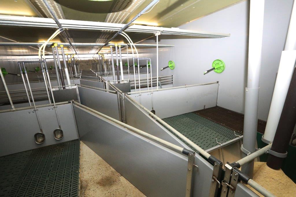 In de biggenstal worden de biggen een keer doorgeschoven. Na de eerste vier weken gaan de biggen naar een nieuwe schone afdeling. De koppels die dan worden gevormd gaan 4 weken later naar een van de vleesvarkenslocaties. Ze blijven tijdens het transport en in de vleesvarkensstal bij elkaar, er wordt niet meer gemengd. 