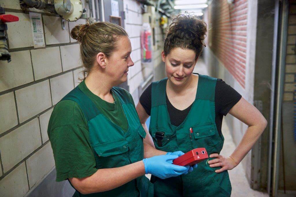 Om zeker te zijn dat de ijzervoorziening goed is, heeft ze samen met dierenarts Anne Staadegaard meegewerkt aan een onderzoek naar de ijzervoorziening. 