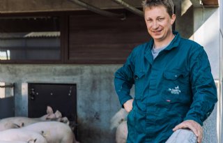 Eerste+Belgische+biologische+varkens+naar+De+Groene+Weg