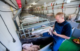 Vaccins+niet+meer+grootste+inkomstenbron+Europese+farmaceuten