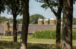 Dierziekten+meewegen+in+gebiedsplannen+provincies