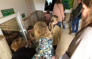 Tienduizend+bezoekers+varkensweekend+en+veel+media%2Daandacht