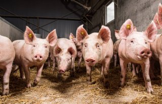 Doel halvering stikstofuitstoot schuift door naar 2035