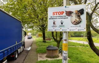 Uitbraak+Afrikaanse+varkenspest+in+Hessen+door+insleep+uit+Oost%2DEuropa