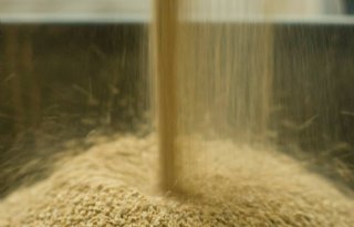 Agrifirm+biedt+veehouder+met+dashboard+inzicht+in+CO2%2Duitstoot