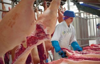 Zuid%2DKorea+stelt+importverbod+in+voor+Duits+varkensvlees+vanwege+MKZ