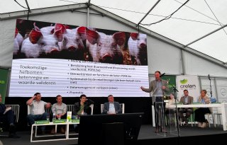 Circulair+brijrantsoen+is+beter+en+kent+scherpere+voerkosten