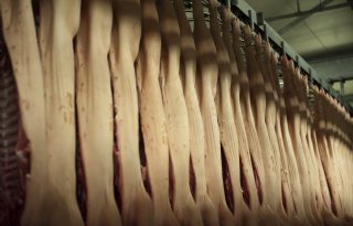 Deense+export+varkensvlees+groeit+met+7+procent