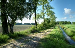 POV+uit+scherpe+kritiek+op+nieuwe+natuurdoelen+van+LVVN