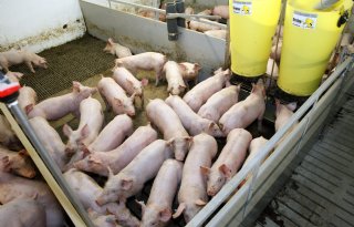 POV pleit voor drastische wijziging stikstofwet