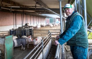 Jan+Wennekers%3A+%E2%80%98Nog+nooit+afzetkosten+betaald+voor+biologische+varkensmest%E2%80%99