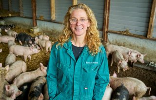 %27Dierenwelzijn+duurt+tot+de+dood+in+de+slachterij%27