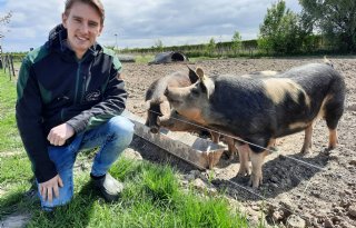 %27Met+25+procent+groei+per+jaar+komen+we+er+wel+met+Buitengewone+Varkens%27