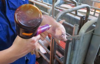 %27Die+paar+dubbeltjes+per+big+extra+is+een+renderende+investering%27