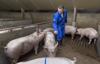 Handelaar Bart Troost ervaart voordelen van coöperatieve voerfusie