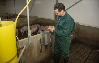 Brabantse varkenshouder bezorgd over vele Woo-verzoeken