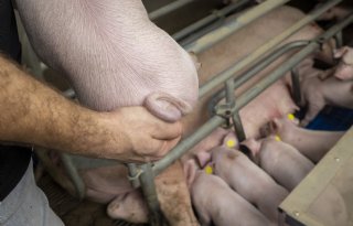 Op naar een gezonde, concurrerende en maatschappelijk gewaardeerde sector