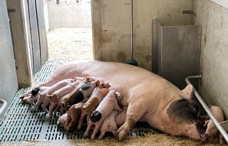 Opening+Livar+Experience+Center+uitgesteld+door+zorgen+over+dierziekten