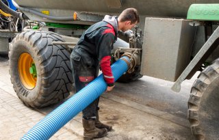 Export varkensmest daalt met 15 procent
