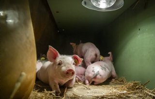 Barth-Misset Fonds financiert zeven nieuwe projecten